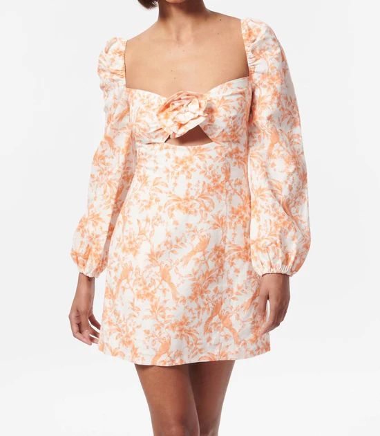 Swetha Dress In Papaya Toile | Shop Premium Outlets