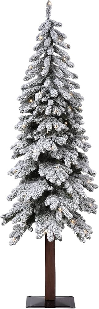 Haute Decor | Amazon (US)