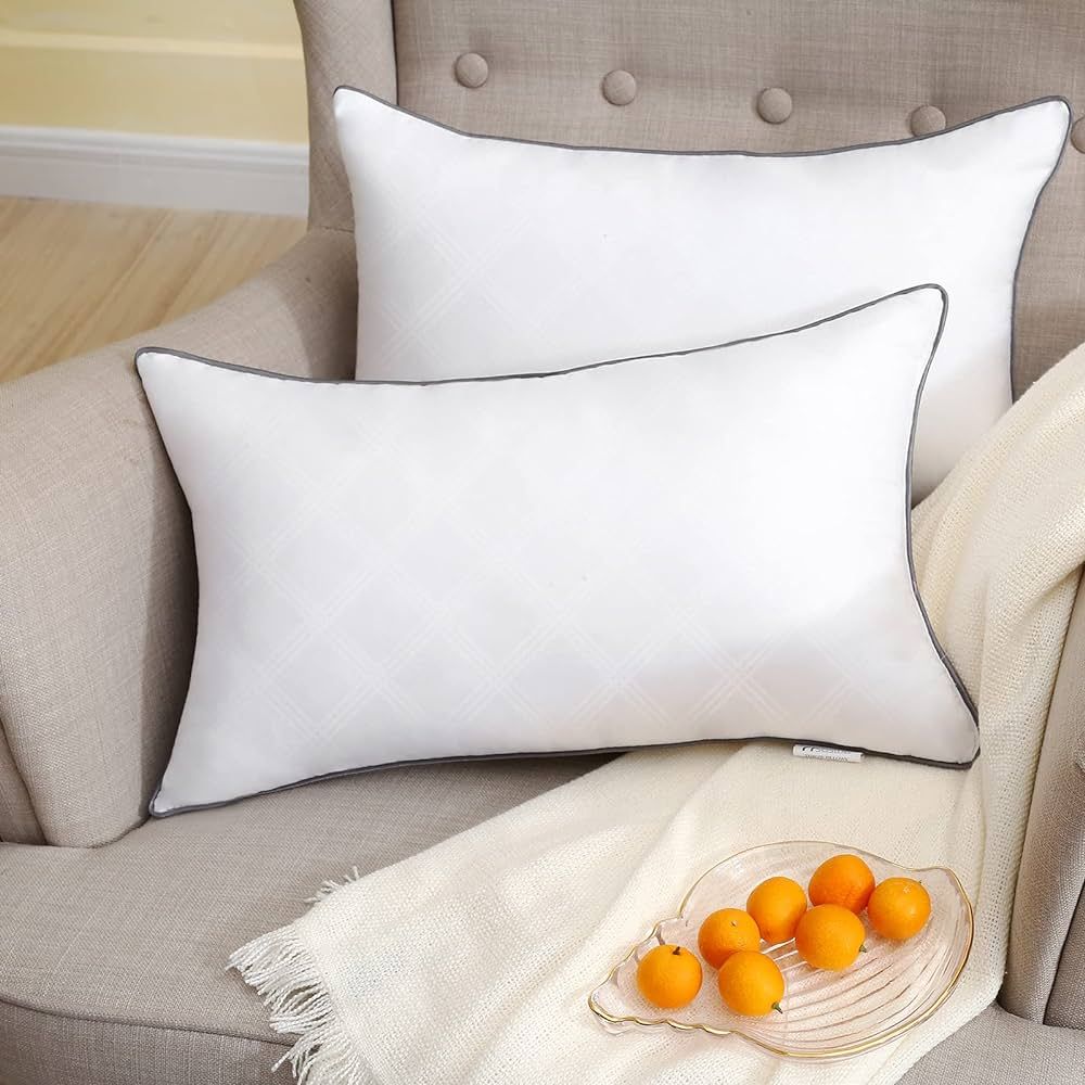SASTTIE 12x20 Pillow Insert 2 Pack, Throw Pillow Decorative with Hypoallergenic Microfiber Fill, ... | Amazon (CA)