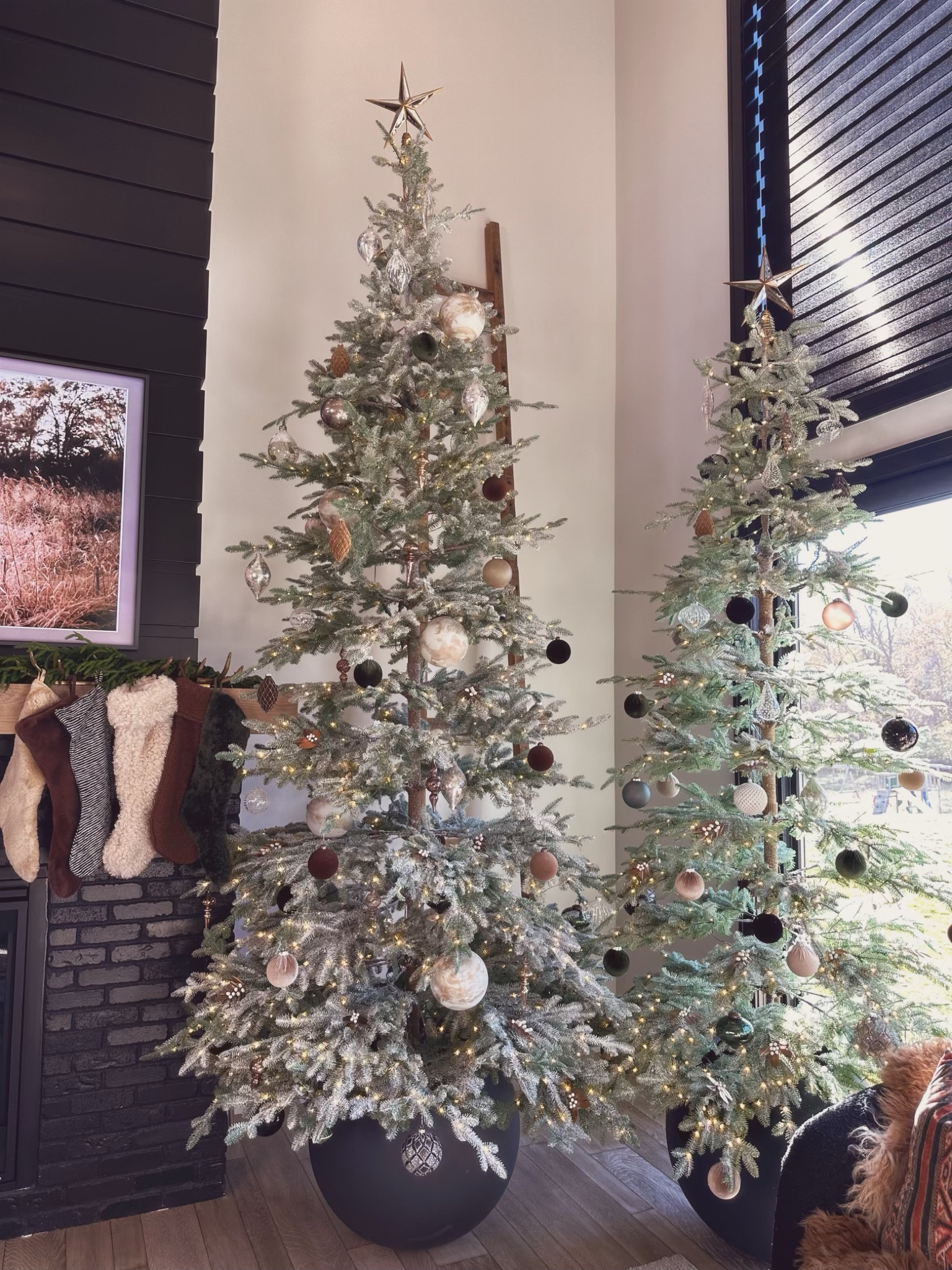 🎄TIS THE SEASON#LTKhome 

#LTKSeasonal #LTKHoliday