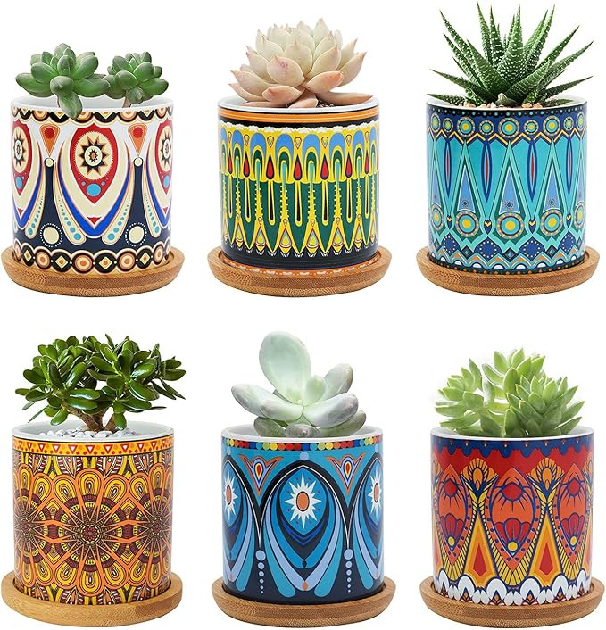 Succulent Pots, Warmplus 3 inch Mandala Planter Pot with Drainage and Bamboo Tray, Small Pots for... | Amazon (US)