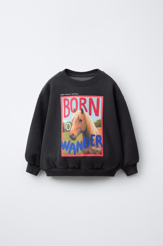 HORSE PRINT SWEATSHIRT | Zara US