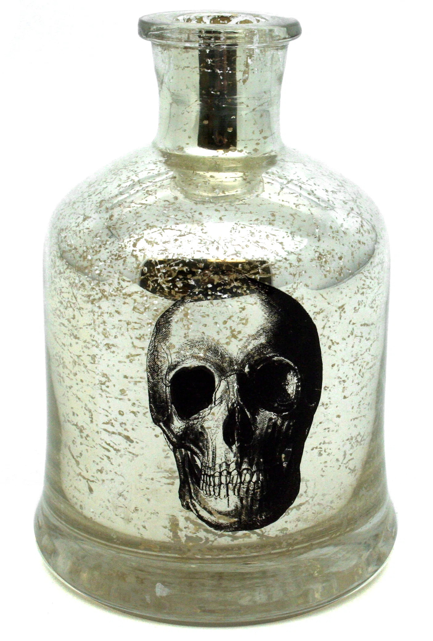 The Holiday Aisle® Santeria Bottles Skull | Wayfair | Wayfair North America