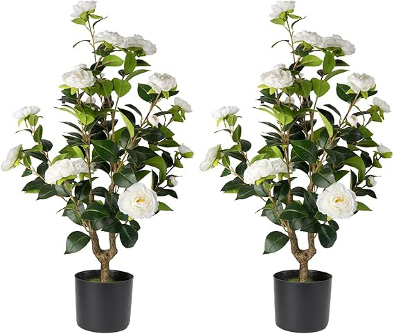 Artificial Camellia Tree 2 Pack - Realistic Camellia Plants in Pot with White Flowers, Lifelike F... | Amazon (US)