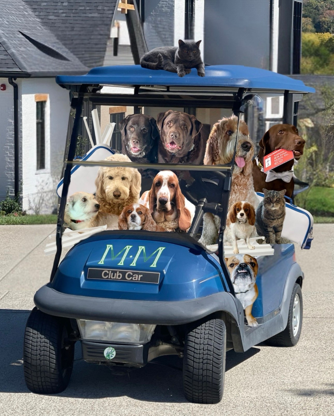 Happy National Pet Day! Mahjong day is their favorite too—golf cart loaded, tails wagging, and not a chance they'd let us get together without them.

#LTKHome #LTKGiftGuide #LTKPets
