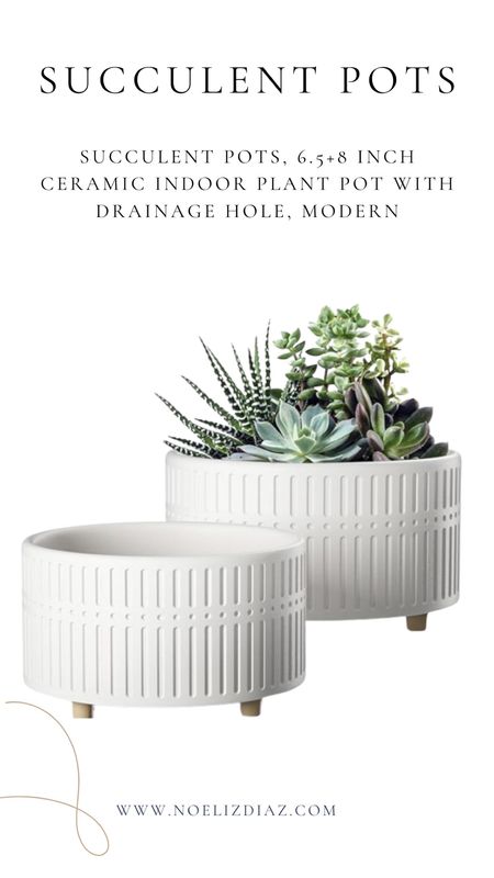 One of my favorite Amazon planters! 

#LTKfindsunder50 #LTKstyletip #LTKhome