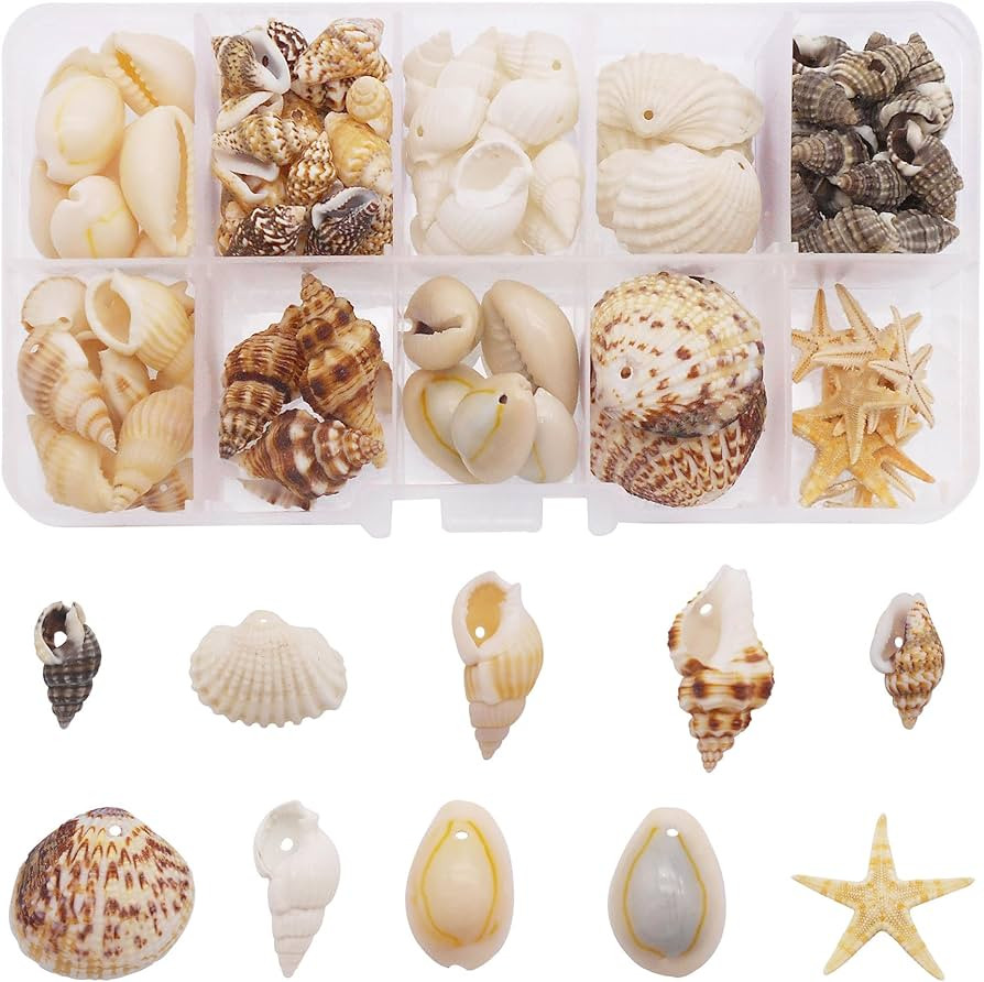 1 Box 120pcs Small Tiny Sea Shells Mixed 10 Styles Beach Natural Seashell Charm Beads with Hole f... | Amazon (CA)