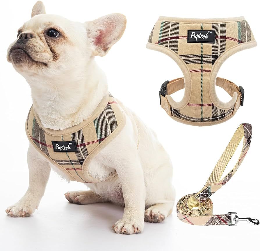 PUPTECK Soft Mesh Dog Harness and Leash Set Pet Puppy Cat Comfort Padded Vest No Pull Harnesses, ... | Amazon (US)