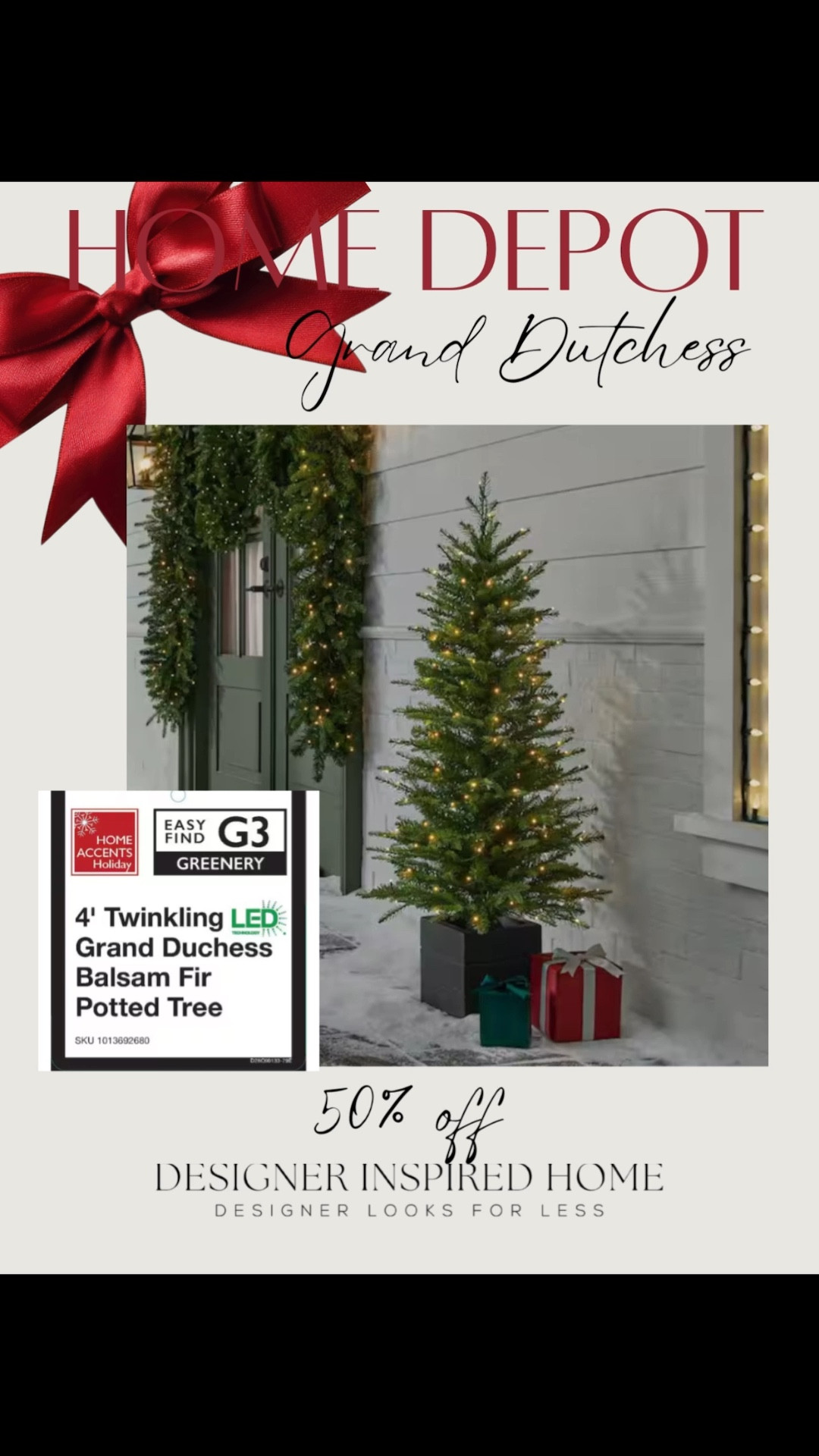 Grand dutchess potted mini trees are 50% off! 

#LTKSeasonal #LTKHoliday #LTKSaleAlert
