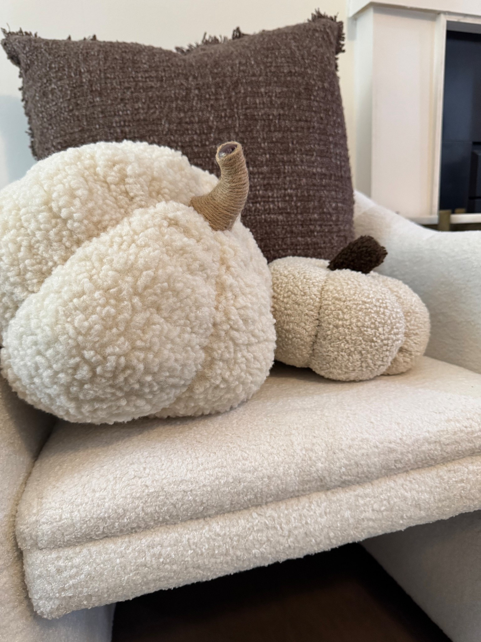 Fall decor 🍂🤎

#LTKSeasonal #LTKFindsUnder50 #LTKHome