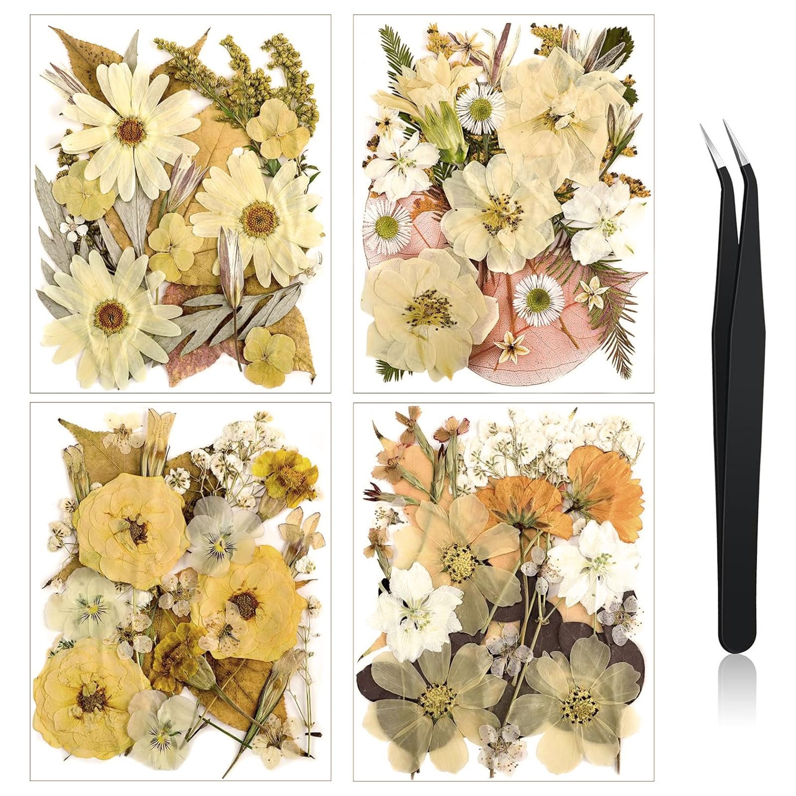 Nuanchu Pressed Flowers Bulk Dried Flower for Crafts, Dried Wildflowers Leave Natural with Tweeze... | Amazon (US)