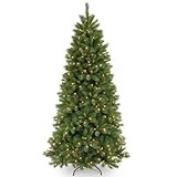 National Tree Company Pre-lit Artificial Christmas Tree | Includes Pre-strung Multi-Color LED Lig... | Amazon (US)