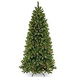 National Tree Company Pre-lit Artificial Christmas Tree | Includes Pre-strung Multi-Color LED Lig... | Amazon (US)