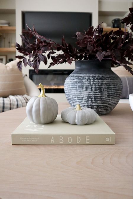 Coffee table decor 

Follow me @crystalhanson.home on Instagram for more home decor inspo, new arrivals and sale finds 🫶

Sharing all my favorites in home decor, home finds, affordable home decor, target, target home, magnolia, hearth and hand, studio McGee, McGee and co, pottery barn, amazon home, amazon finds, sale finds, kids bedroom, primary bedroom, living room, coffee table decor, entryway, console table styling, dining room, vases, stems, faux trees, faux stems, holiday decor, seasonal finds, throw pillows, sale alert, sale finds, cozy home decor, rugs, candles, and so much more.


#LTKstyletip #LTKSeasonal #LTKhome
