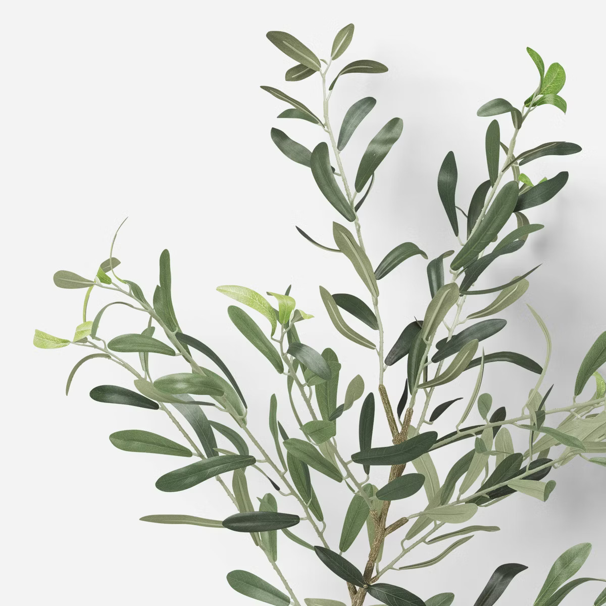 Olive Branch - Threshold™ | Target