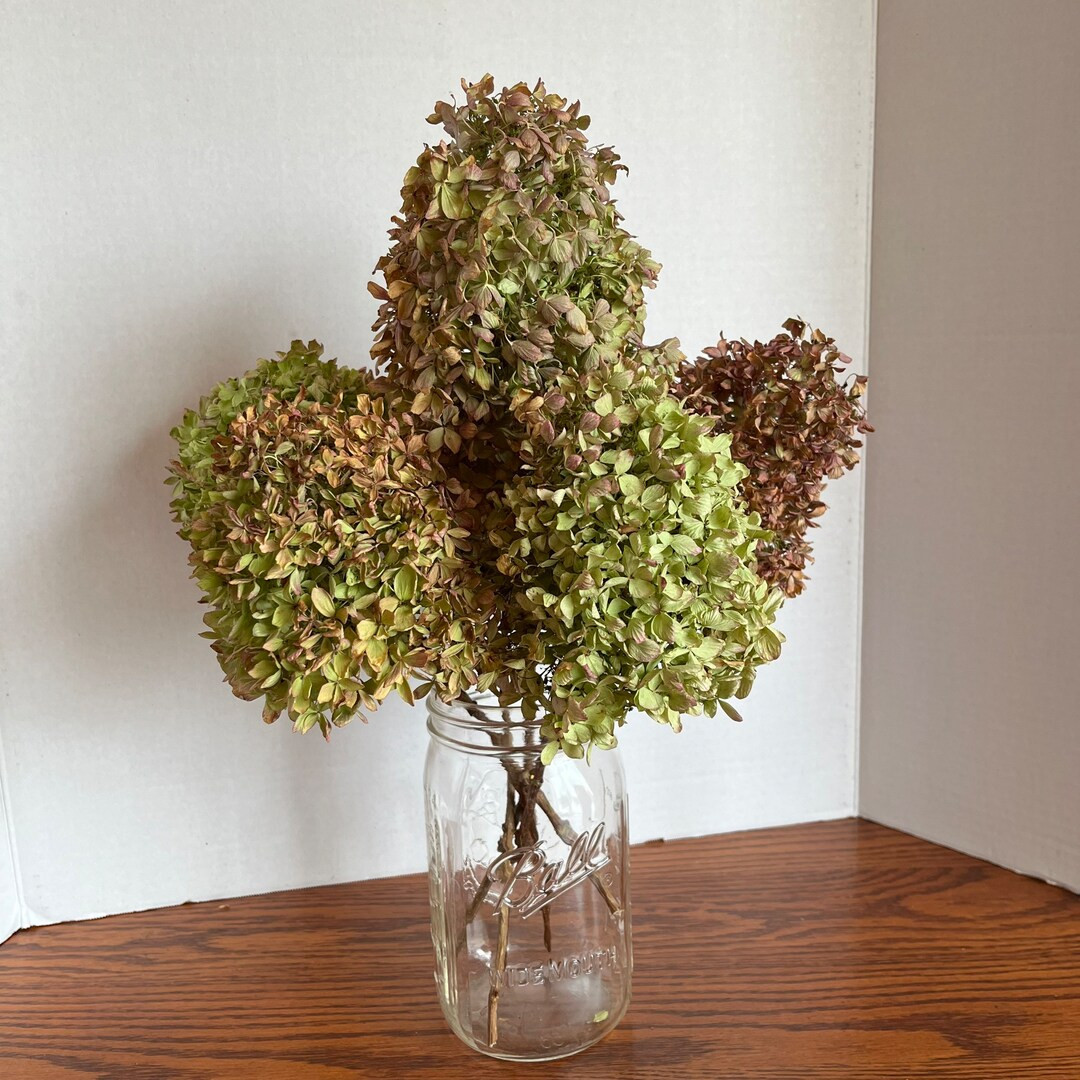 Dried Hydrangea Flowers - Etsy | Etsy (US)