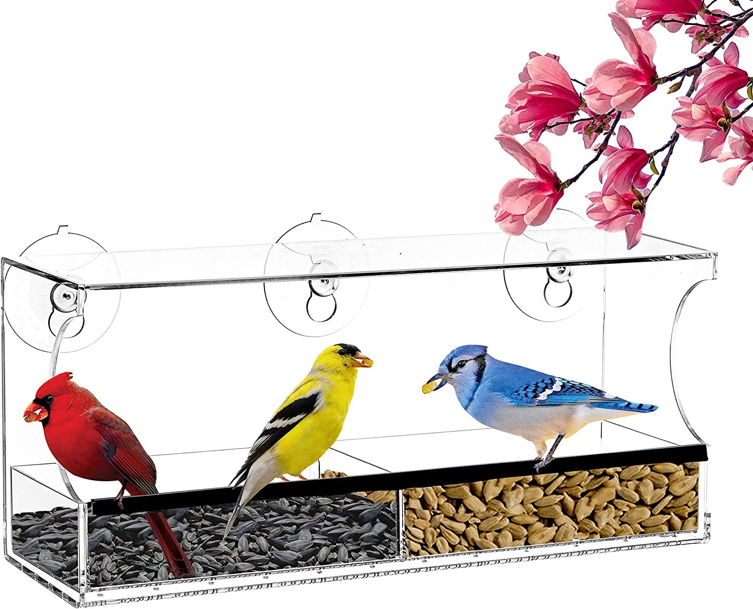 Clear Window Bird Feeder for Outside - Window Bird Feeders with Strong Suction Cups, Transparent ... | Amazon (US)