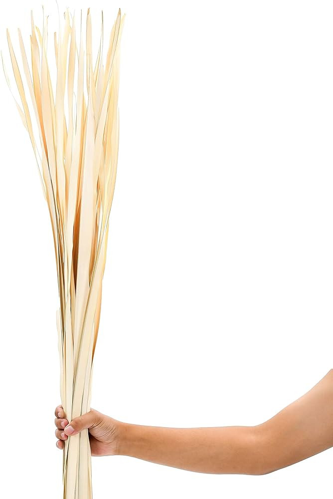 Leewadee Palm Leaves – Loose and Colored Decor Twigs for Floor Vases, Naturally Dried Arrangeme... | Amazon (US)