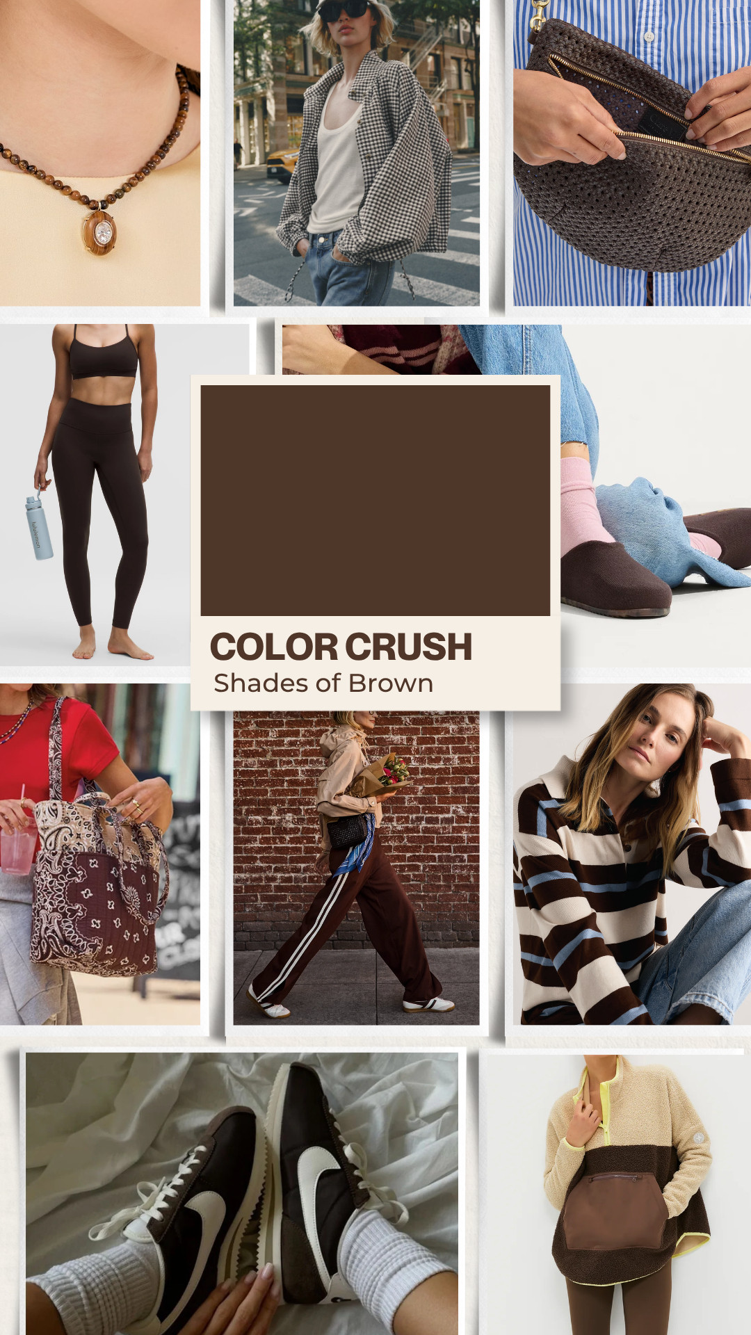 Color Crush: Shades of Brown  

 