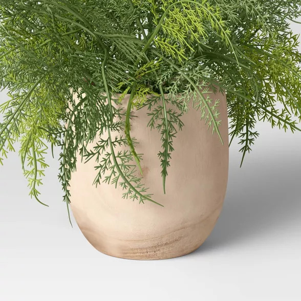 Large Asparagus Fern - Threshold™ | Target