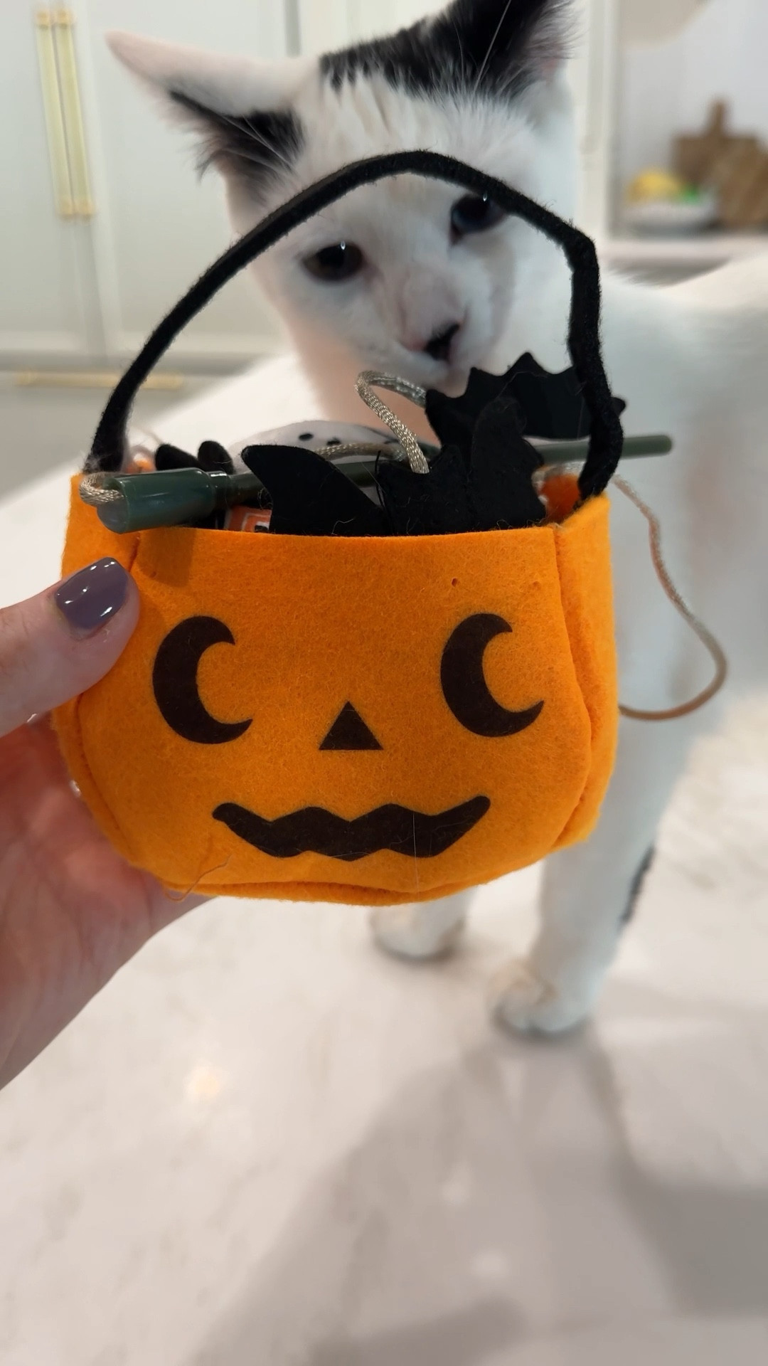 Kitty cat boo basket 

#LTKVideo #LTKHalloween #LTKFindsUnder50