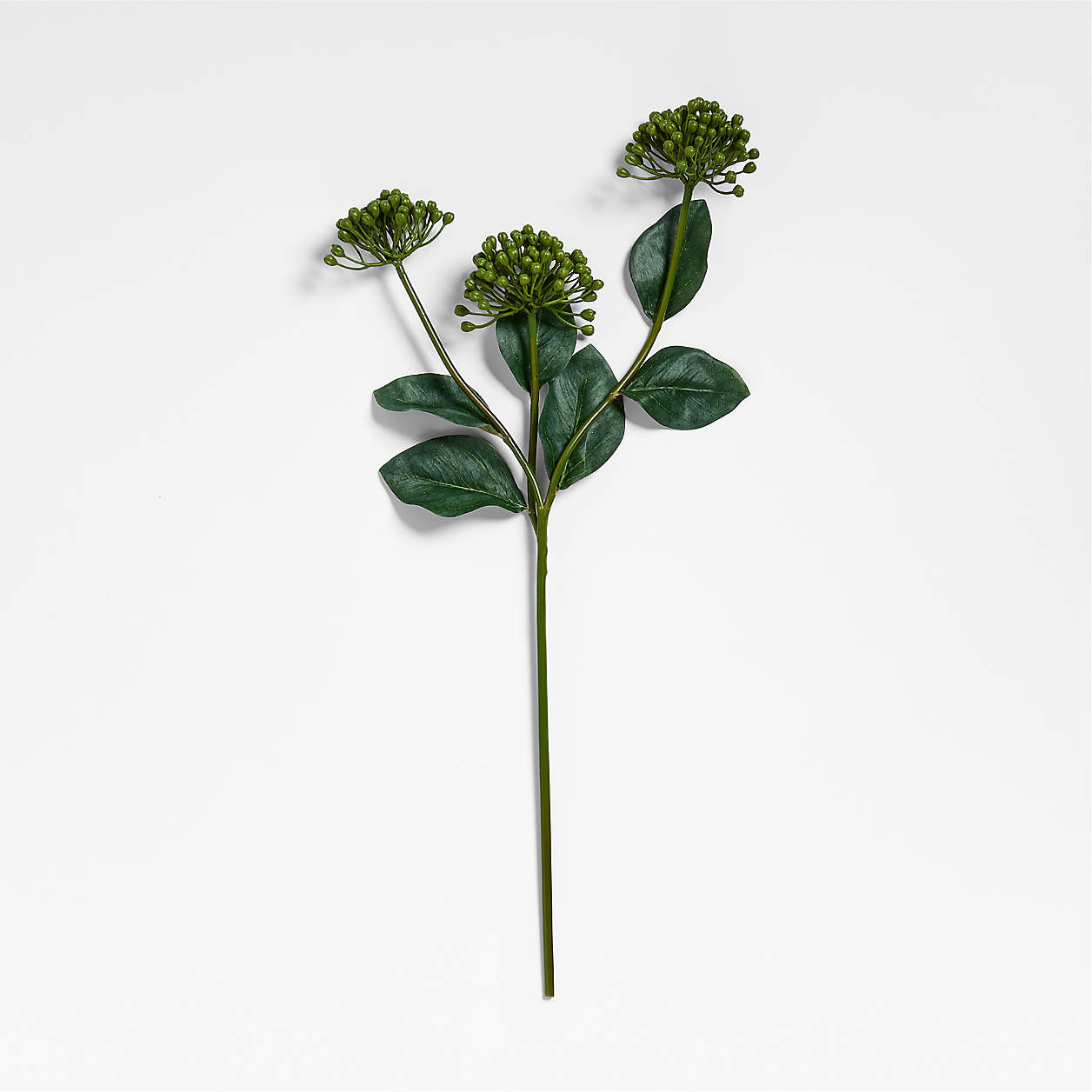 Faux Green Viburnum Flower Stem 24" by Abigail Ahern | Crate & Barrel | Crate & Barrel