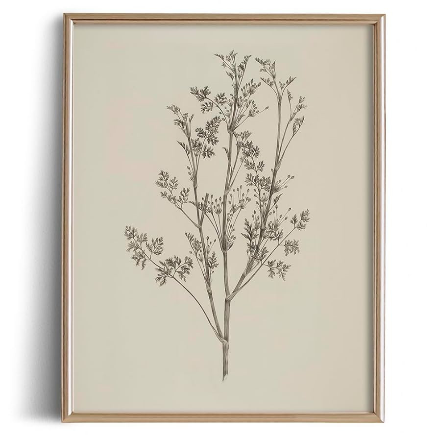 Leave Plant Drawing Print Poster - Botanical Flower Floral Etching Rustic Picture - Vintage Farmh... | Amazon (US)
