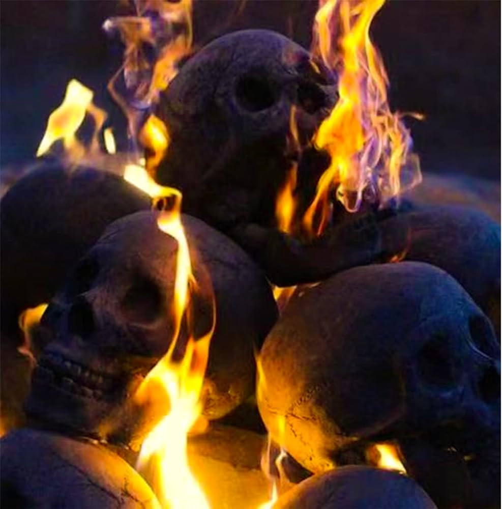 8 Pcs Ceramic Skull Charcoal for Fire Pit - Refractory - Halloween Imitated Human Skull Gas Log f... | Amazon (US)