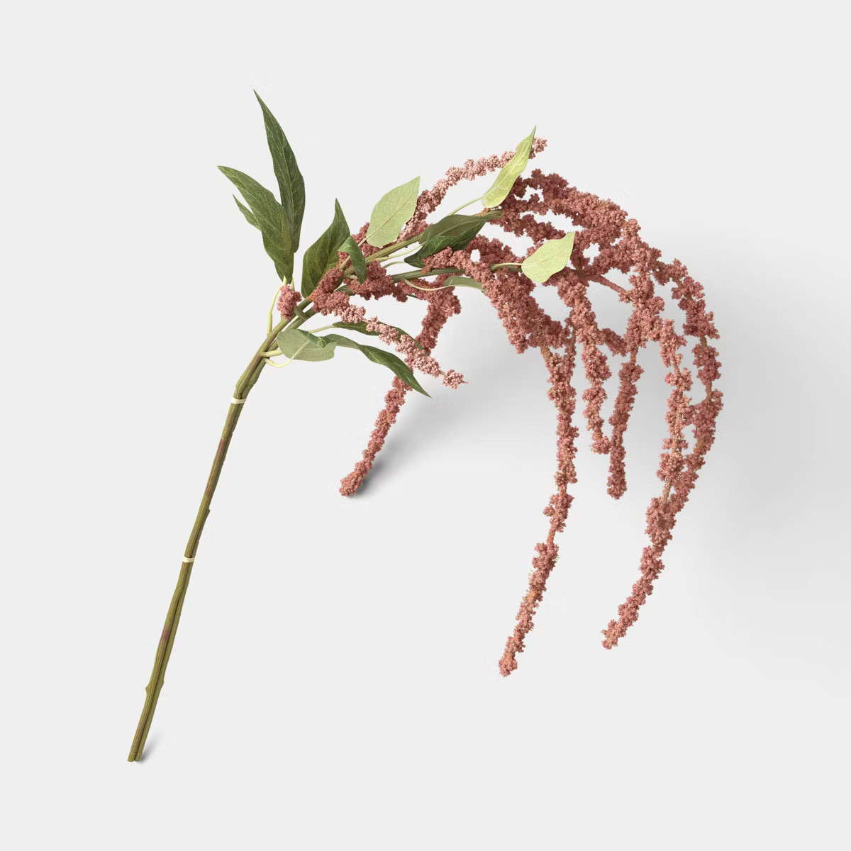 Amaranthus Stem - Threshold™ | Target