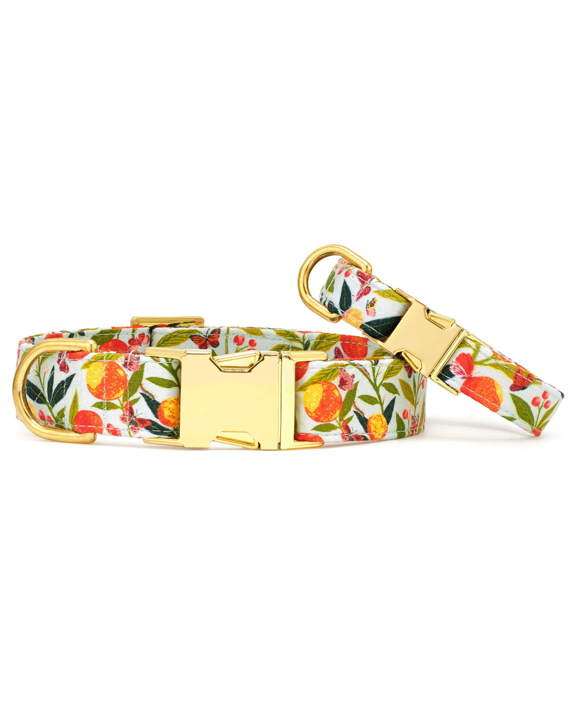 PF x The Foggy Dog Tiger Queen - Dog Collar - Jade | Printfresh
