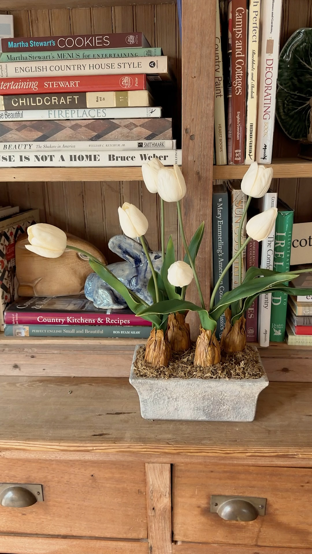 Cozy spring tulips 

#LTKSaleAlert #LTKSeasonal #LTKHome