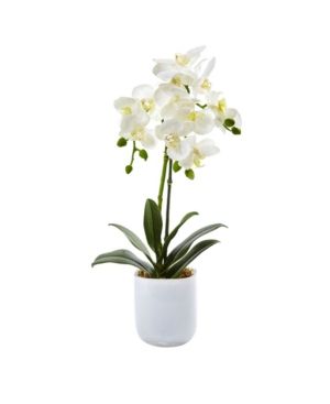 Nearly Natural Phalaenopsis Orchid in Frosted Glass | Macys (US)