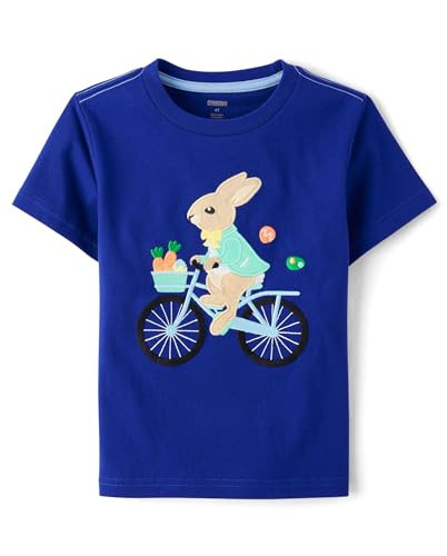 Gymboree,Boys,and Toddler Embroidered Graphic Short Sleeve T-Shirts,Bicycle Bunny,6 | Amazon (US)