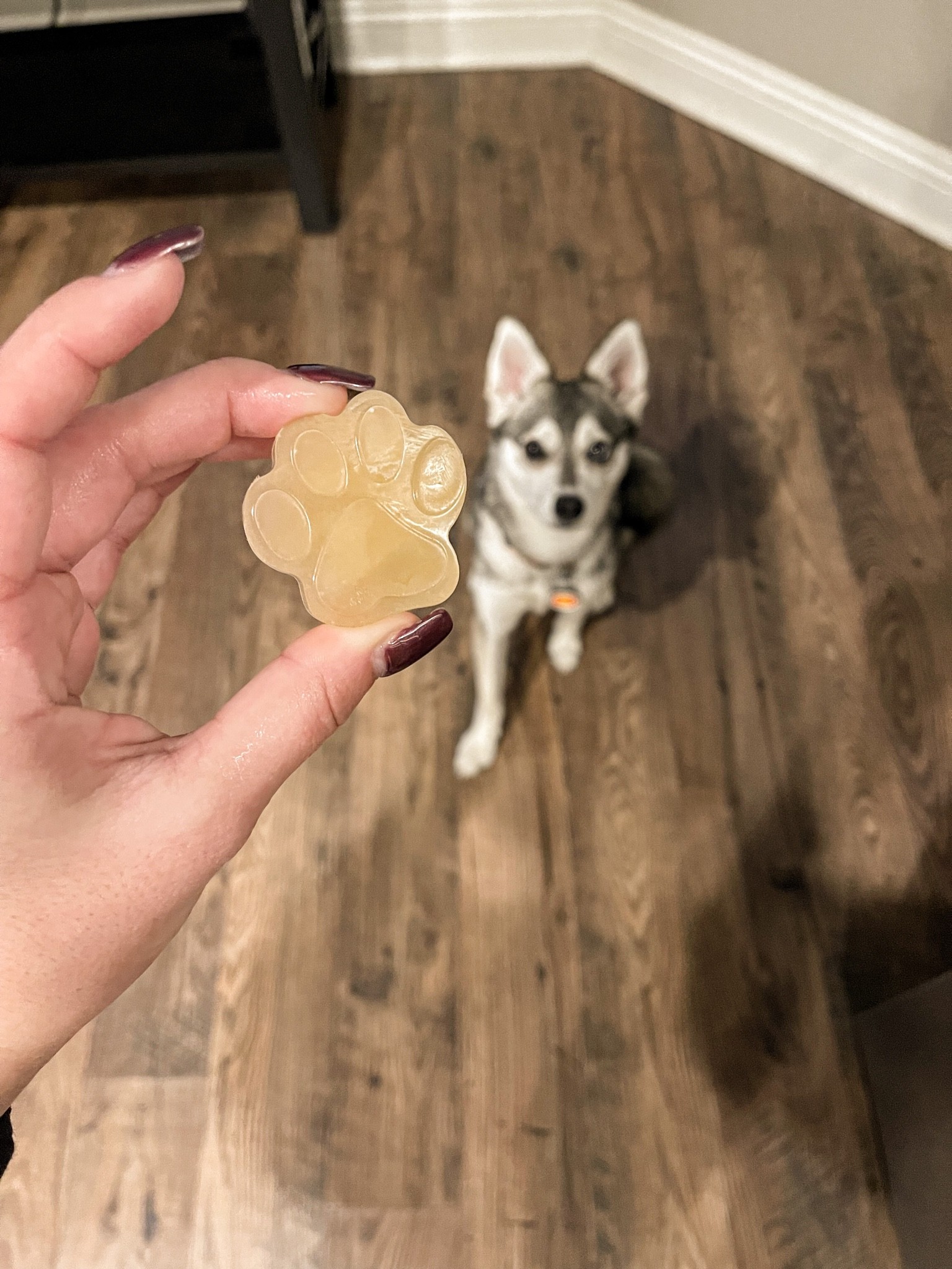 Bone Broth Treats!

#LTKunder50 #LTKhome #LTKfamily