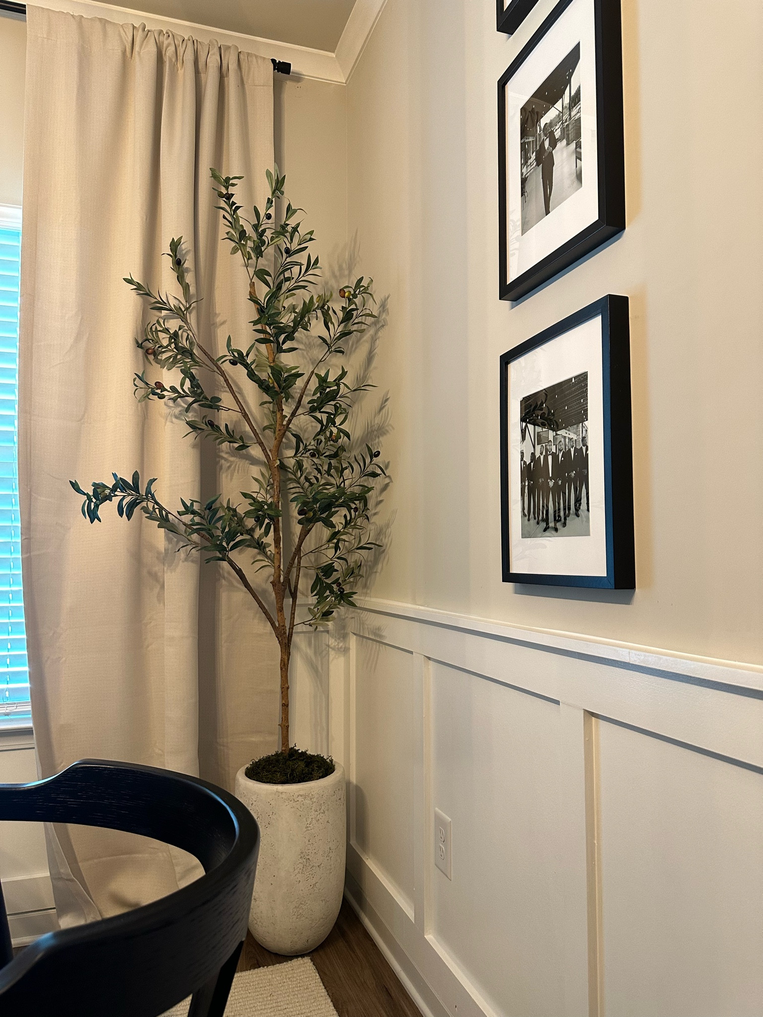 This is honestly the most REALISTIC olive tree I’ve seen on Amazon ! 

#LTKFind #LTKhome #LTKstyletip