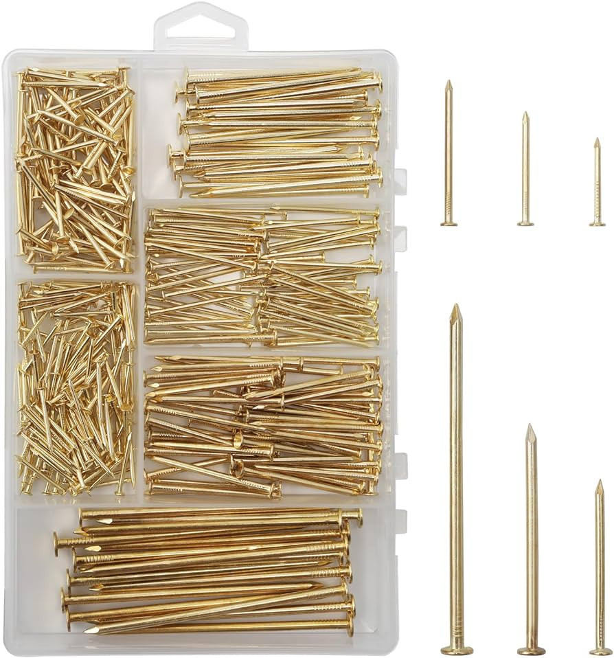 6 Sizes Gold Hardware Nails Assortment Kit, 358pcs, Brass Plated, Nails for Hanging Pictures, Fin... | Amazon (US)