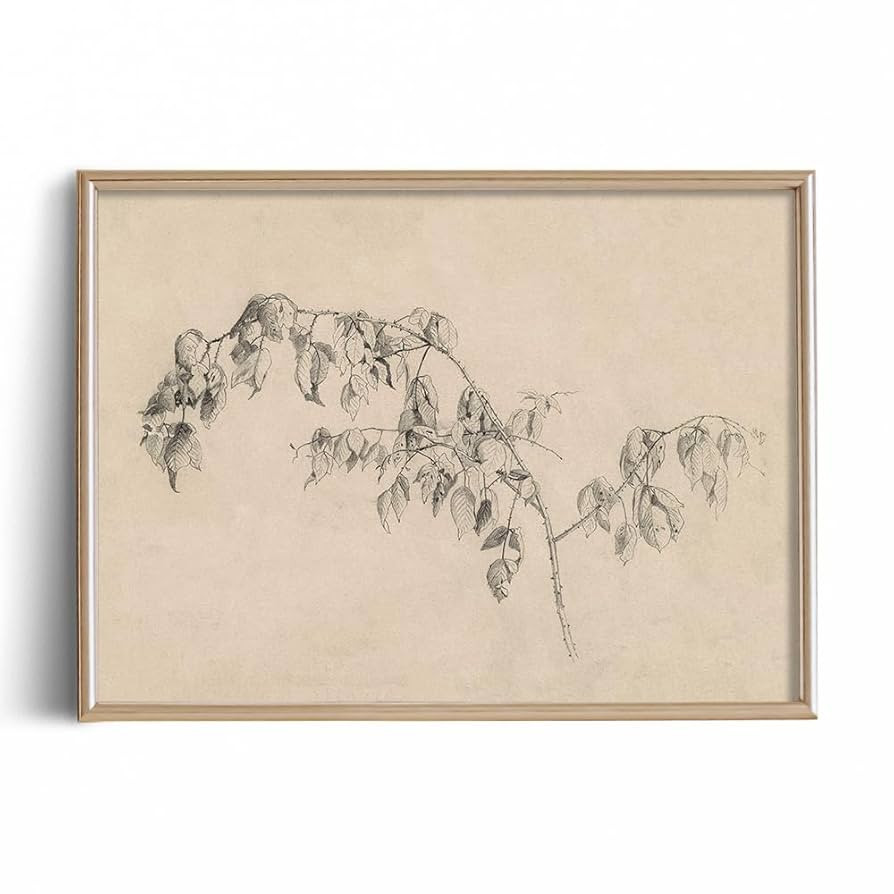 Flower Floral Drawing Print Poster - Botanical Plant Leave Etching Rustic Picture - Vintage Farmh... | Amazon (US)