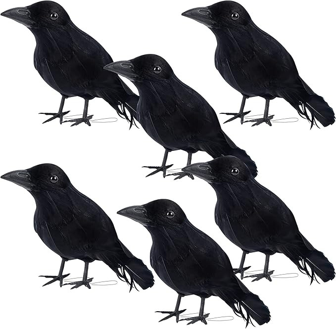 DR.DUDU Halloween Crow Decorations 6 Pack, Lifesize Handmade Realistic Black Feather Birds Prop, ... | Amazon (US)