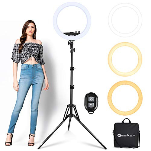 Ring Light with Tripod Stand, Yesker 14 Inch LED Ringlight Kit with Phone Holder Adjustable Color Temperature Circle Lighting, Led Photo Beauty Ring Lights for Camera for Vlog, Makeup, Video Shooting | Amazon (US)