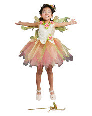 Kids Woodland Fairy Costume | TJ Maxx