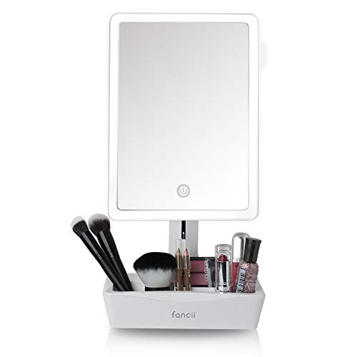 Fancii LED Lighted Large Vanity Makeup Mirror with 10X Magnifying Mirror - Dimmable Natural Light, T | Amazon (US)