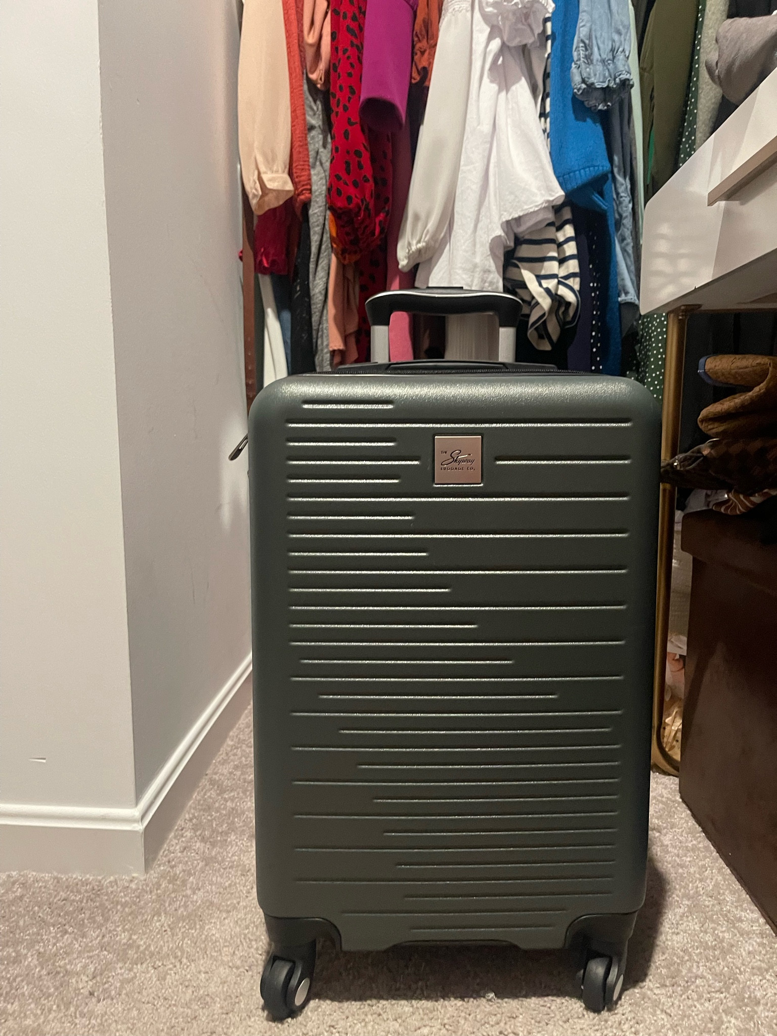 My carryon is on sale! Comes in a few other colors but I love this green! 

#LTKTravel #LTKItBag #LTKU