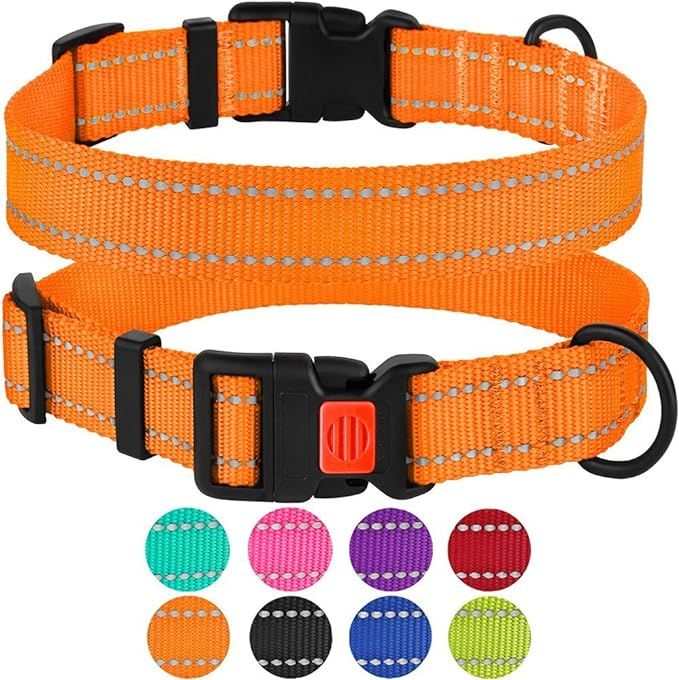 CollarDirect Reflective Dog Collar with Buckle Adjustable Safety Nylon Collars for Dogs Small Med... | Amazon (US)