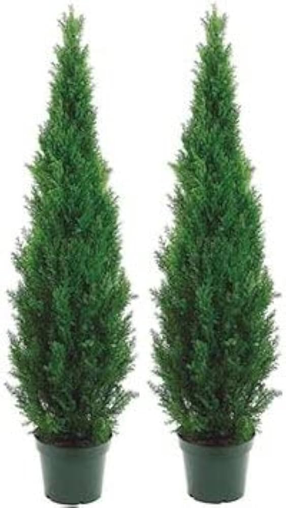 Two 5 Foot Outdoor Artificial Cedar Topiary Trees Potted Plants Two Peace Construction | Amazon (US)