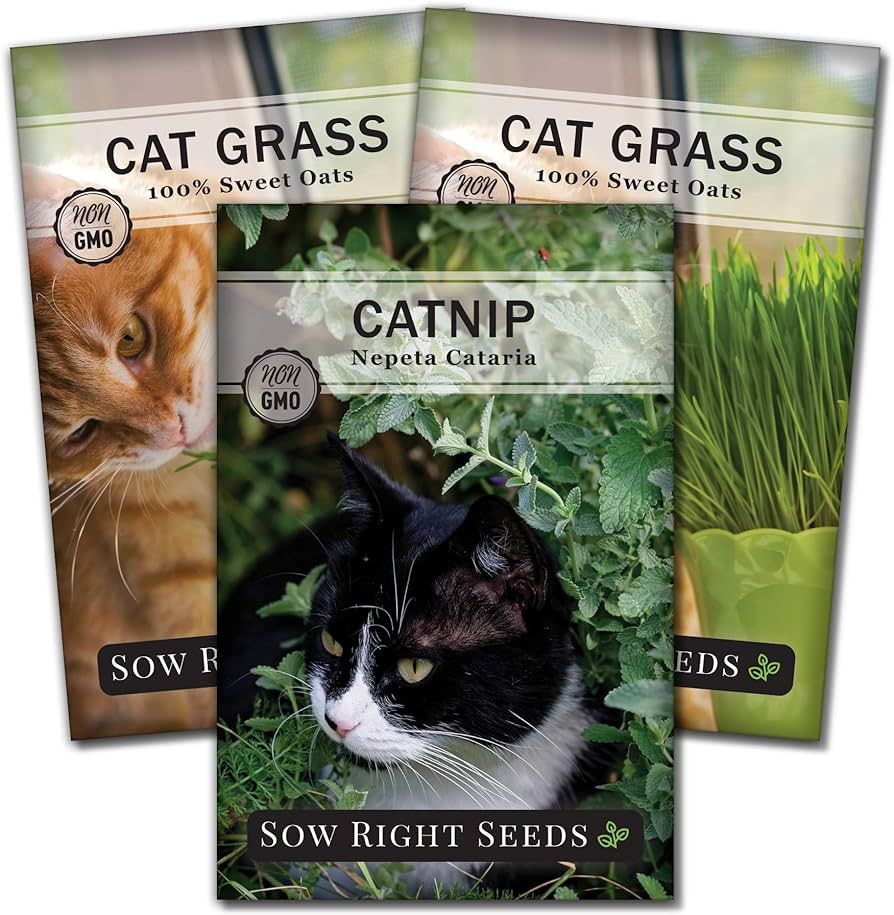 Sow Right Seeds - Catnip and Cat Grass Seed Collection for Planting Indoors or Outdoors - Include... | Amazon (US)