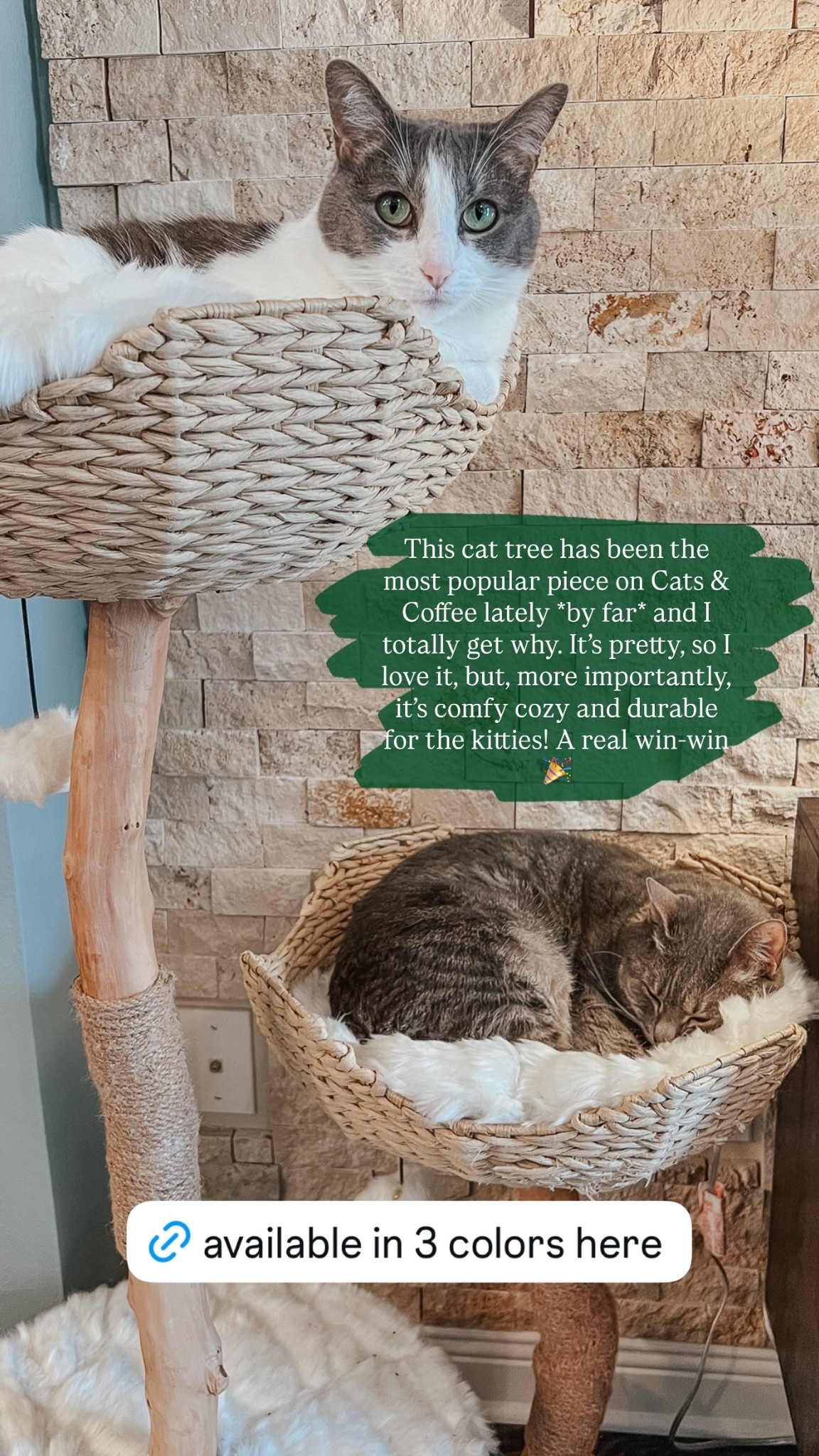 This cat tree has been the most popular piece on Cats & Coffee lately *by far* and I totally get why. It’s pretty, so I love it, but, more importantly, it’s comfy cozy and durable for the kitties! A real win-win 🎉