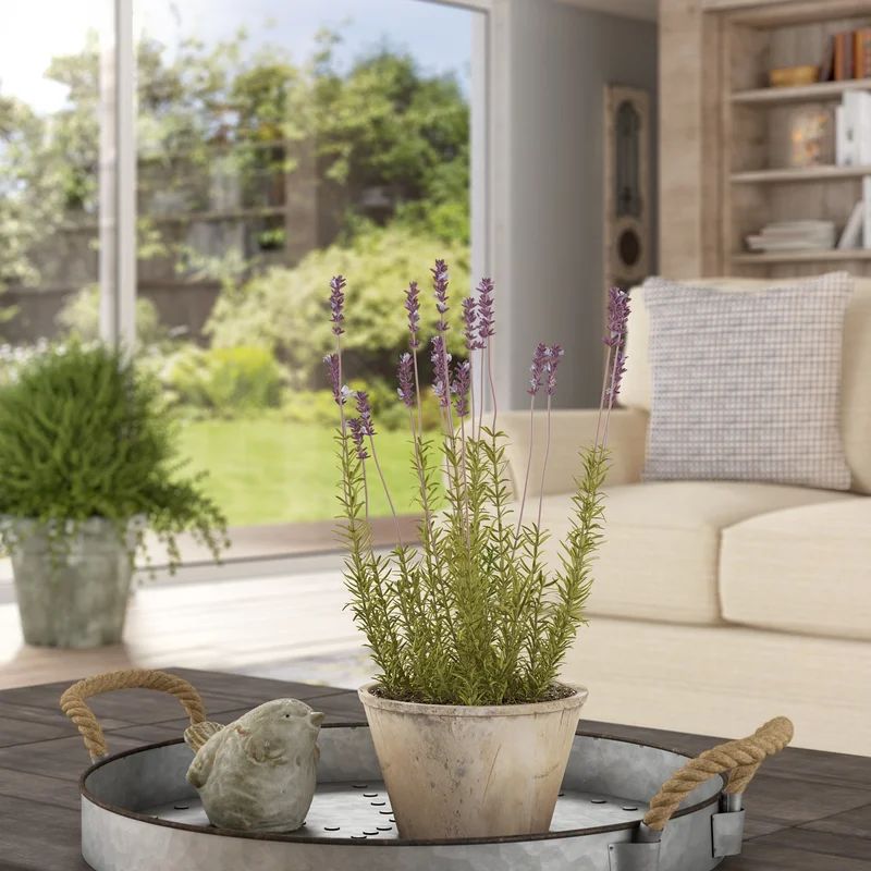 French Lavender Floral Arrangement in Pot | Wayfair North America