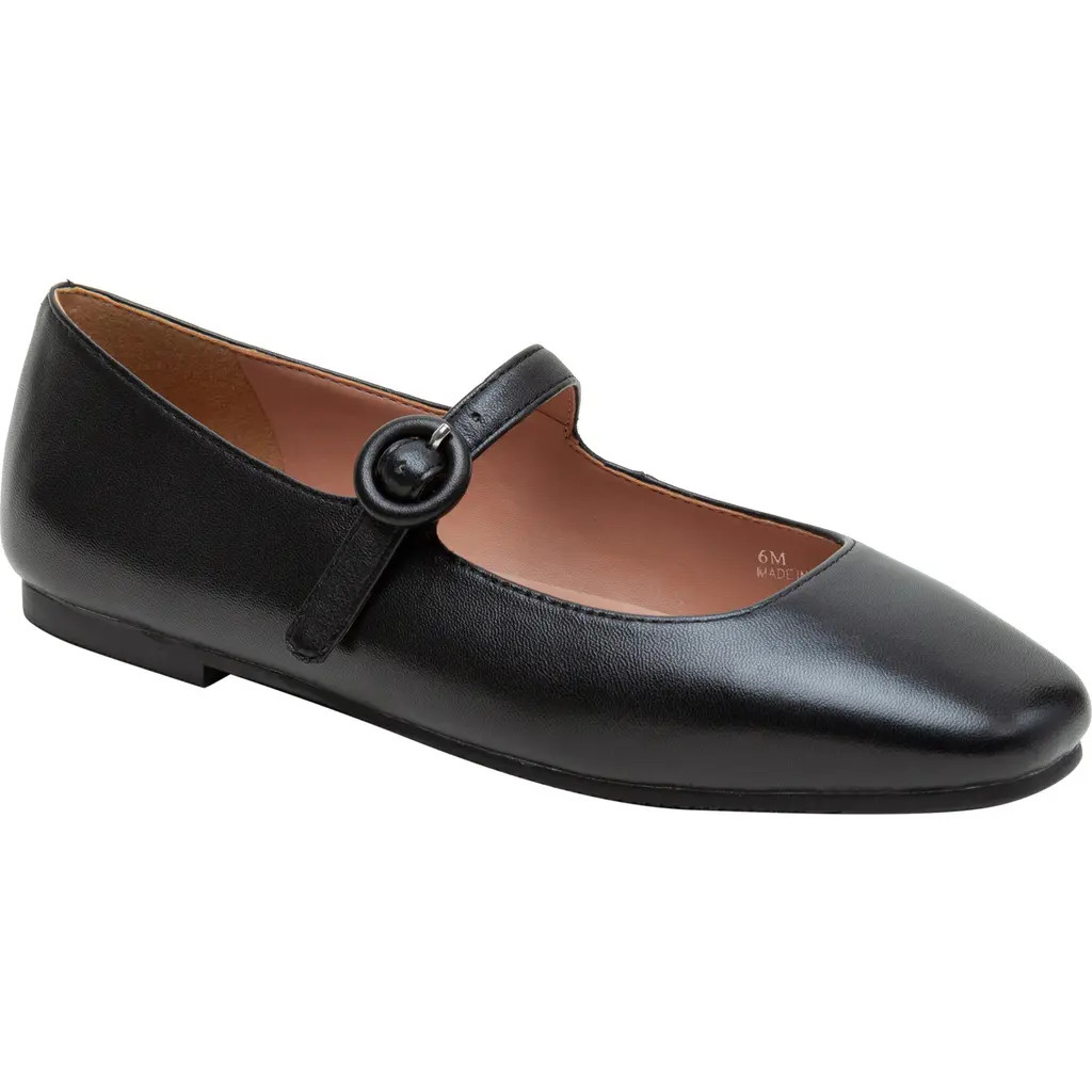 Linea Paolo Marley Mary Jane Flat in Black at Nordstrom, Size 10 | Nordstrom