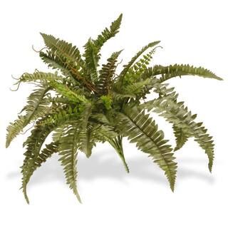 National Tree Company 26 in. Garden Accents Boston Fern Plant-GABF30-26G - The Home Depot | The Home Depot