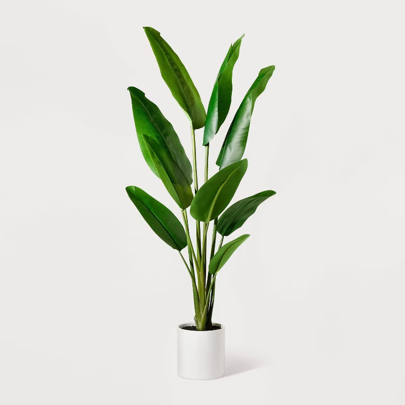 61.5" Artificial Bird of Paradise Tree - Hilton Carter for Target | Target